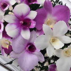 орхидеи в стекле 11_00