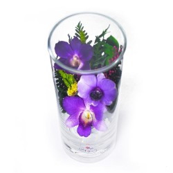 орхидеи в стекле 12_26
