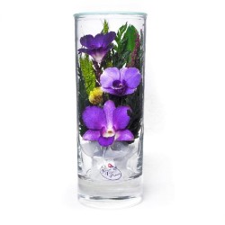орхидеи в стекле 12_26