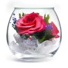 розы в стекле 03_10